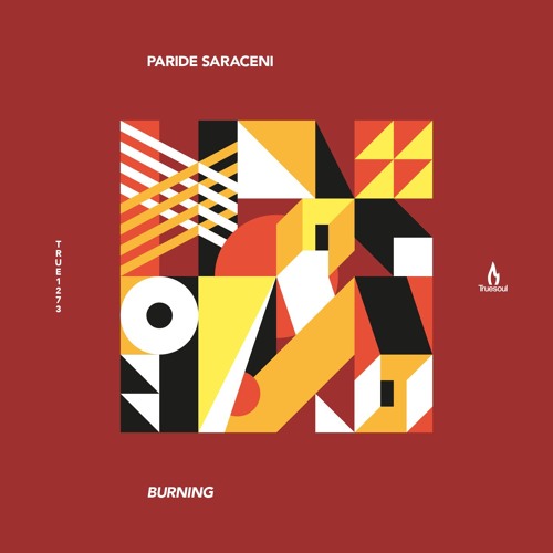 Paride Saraceni - Burning Feat. Monce - Truesoul - TRUE1273