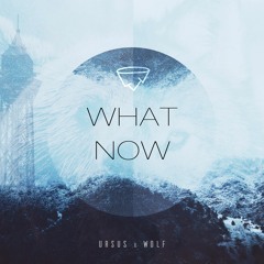 Collate (Ursus & Wolf)