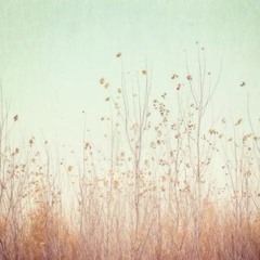 Remix for ROAR - Vinyl release