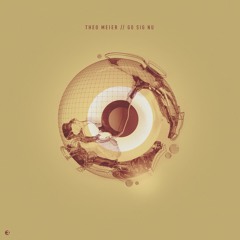 Theo Meier - Signal