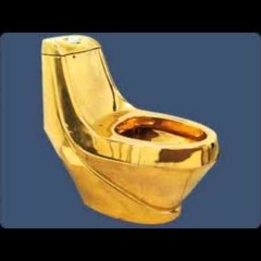 Казённый унитаз. Уринотерапия