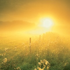 Wayfaring Stranger