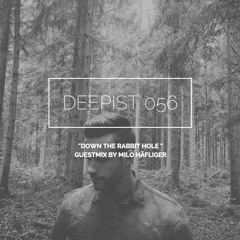 Deepist Podcast 056 Down the Rabbit Hole // Guestmix by Milo Häfliger