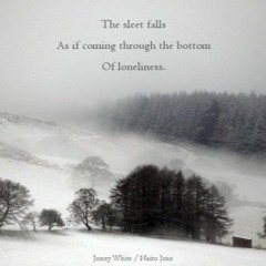 The Sleet Falls [Naviarhaiku107 - The Sleet Falls]