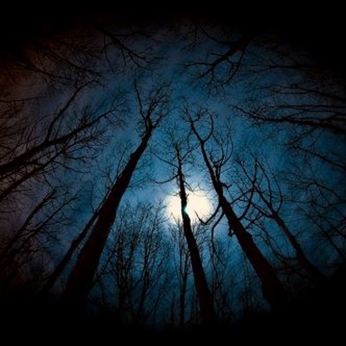 Variations on George Winston's Moon