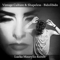 Vintage Culture & Shapeless - Bidolibido (Lucka Maurylio Re-Edit)