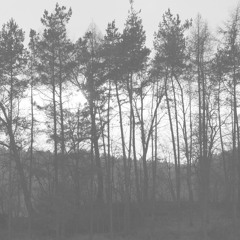 Undone In Sorrow - Cover Ola Belle Reed