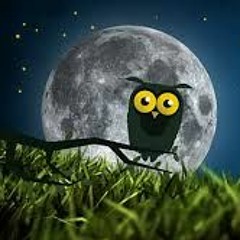 Understand Feat Chris Weber