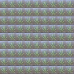 Mary Jane Rough Mix 1