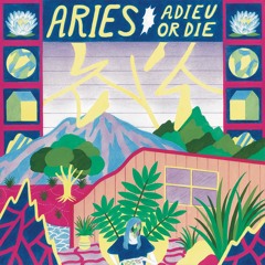 Aries - Nieve de noche