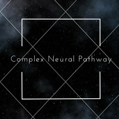 Complex Neural Pathway