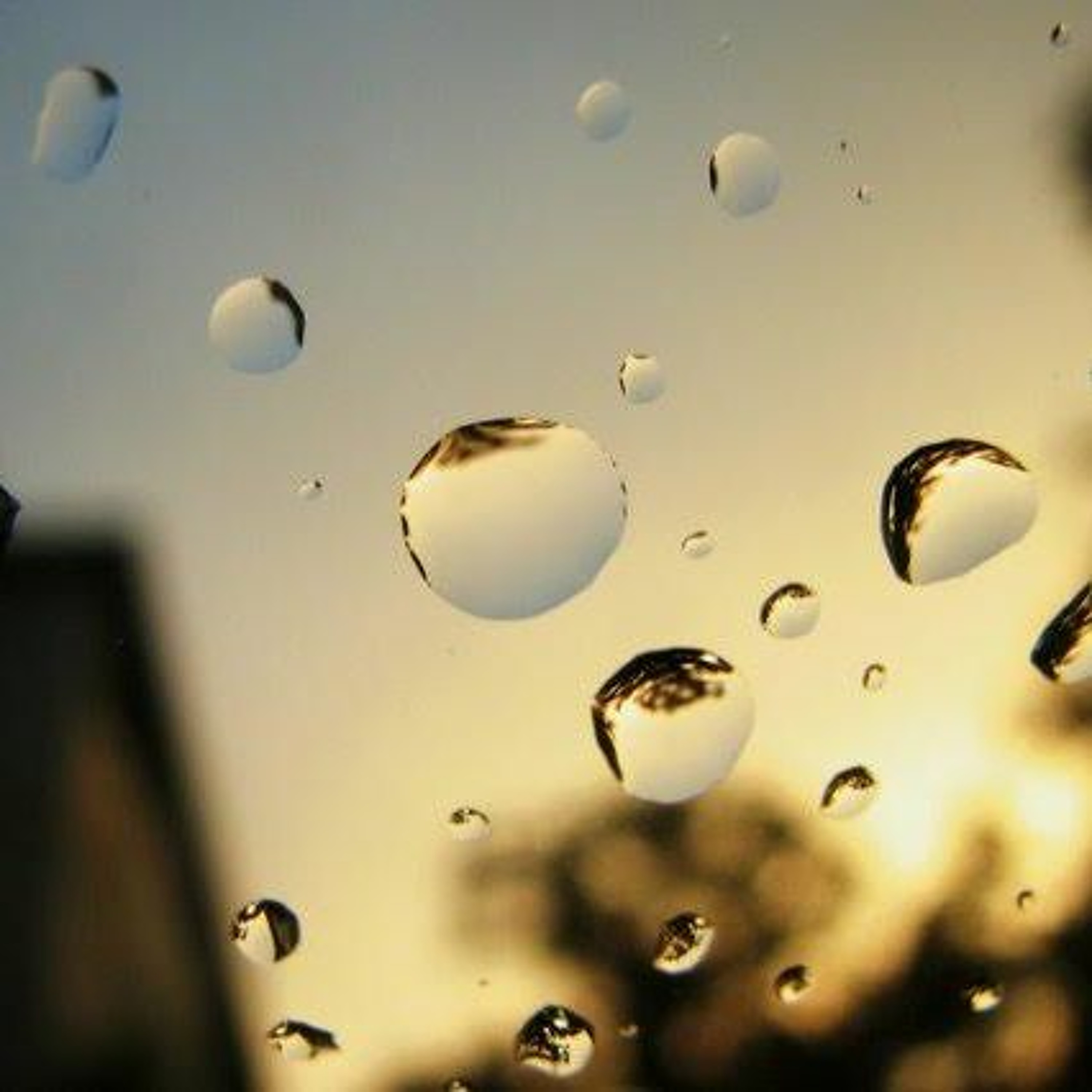 After The Rain 2002 Bam Genesis/Smoke Brown/Tony Montana(twin)