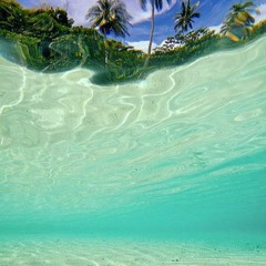 Wasted Penguinz - Riktig Sommer w/ Ten Feet Tall (Acapella) [Mash Up]