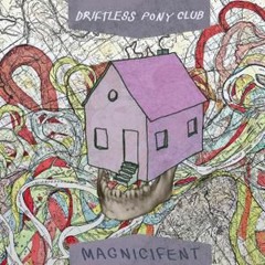 18 Years Later (Driftless Pony Club Cover)