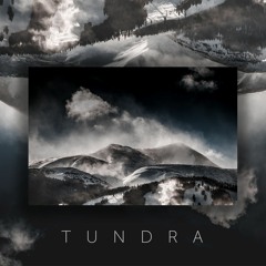 Tundra