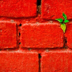 Brick Wall (instrumental Prod. HANCEDIGG)