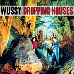 Dropping Houses