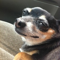 After Hours (Velvet Underground Cover)