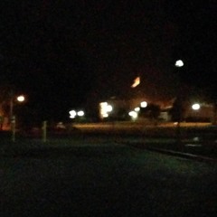 Gone Fishing - Fever