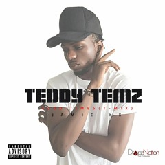 Teddy Temz - I Know There's Gonna Be (Good Times) T- Mix