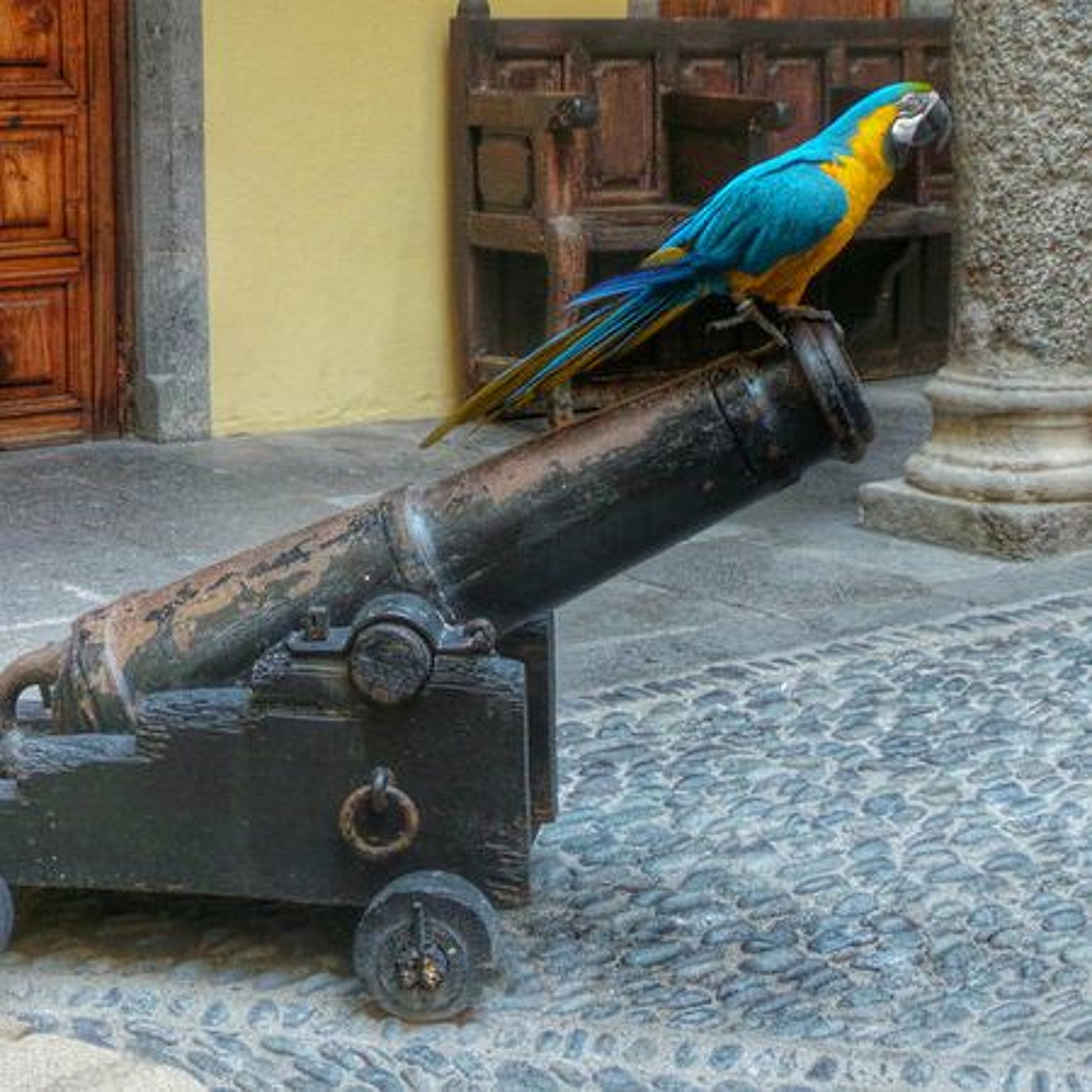 Adventure Gran Canaria