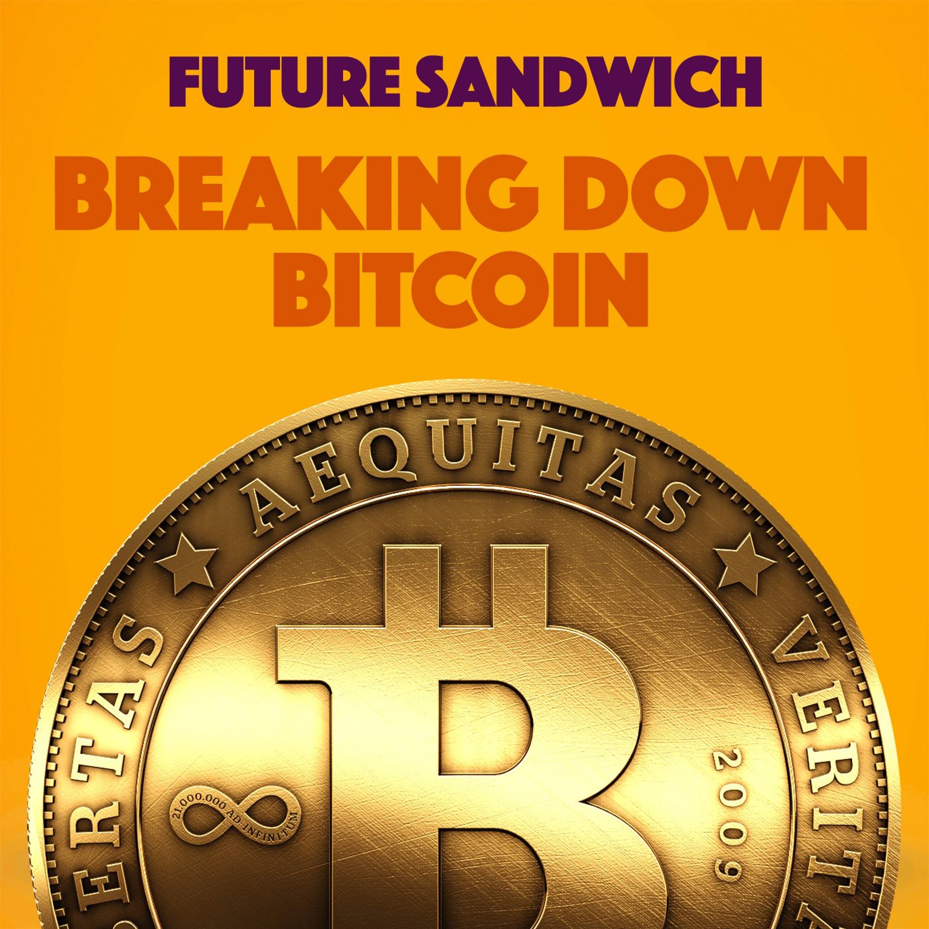 Breaking Down Bitcoin