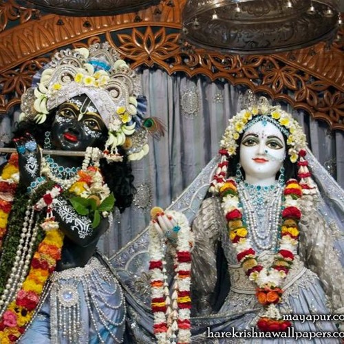 Stream 2016 01 01 SB 06 18 47 Radha Jivan Pr ISKCON Mayapur