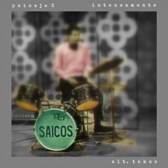 Intensamente [Cover de Los Saicos] - Paisaje 3
