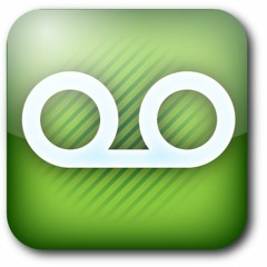 Voice Mail To My Self