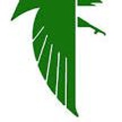10 - 23 - 15 - Blair Oaks Vs. Versailles (2) 1st Half