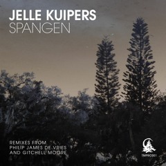 Jelle Kuipers - Putidub