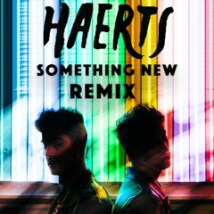Something New (Haerts Remix)