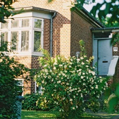 Uddi og Langarm - Vent og Se