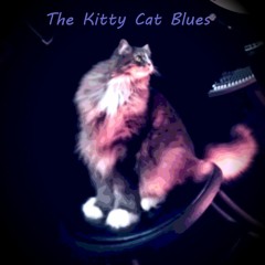The Kitty Cat Blues - Original Song