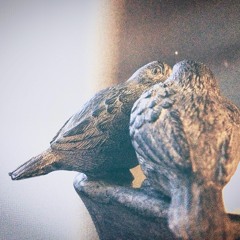 From Earth To Venus (Produced by. L)