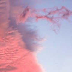 delicate heart