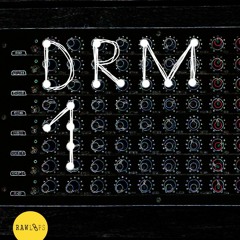 Raw Loops - DRM1 Drum Hits - Audio Demo
