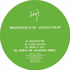 PREMIERE : Ian Blevins & NY AK - Work It Out (DJ Nature Remix) [SAFT]