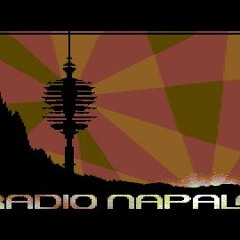 Radio Napalm - Kai Walter