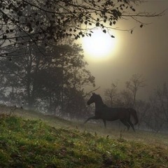 Cockadoodledudes Season 3 Episode 3