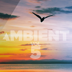 Ambient Vol. 051