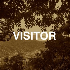Visitor