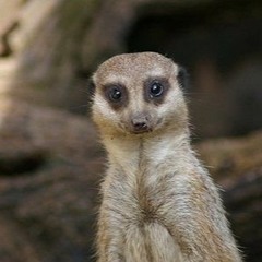 Eco Y Dis Def - Andando En Espiral