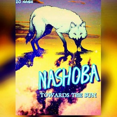 DJ Nash - Towords The Sun