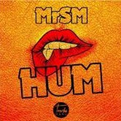 Mr SM - Huum huummm