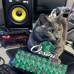 Boots N Cats: Vol IV Orsini