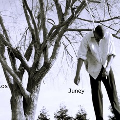 Walkin' Licc (Warning Shots)