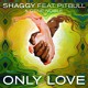 on Shaggy feat. Pitbull &amp; Gene Noble - Only Love (Bad Royale Remix)