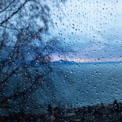 AYM - Walk in the rain podcast (january)
