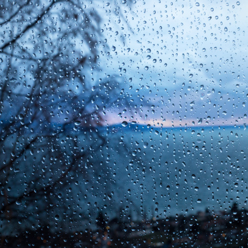 AYM - Walk in the rain podcast (january)